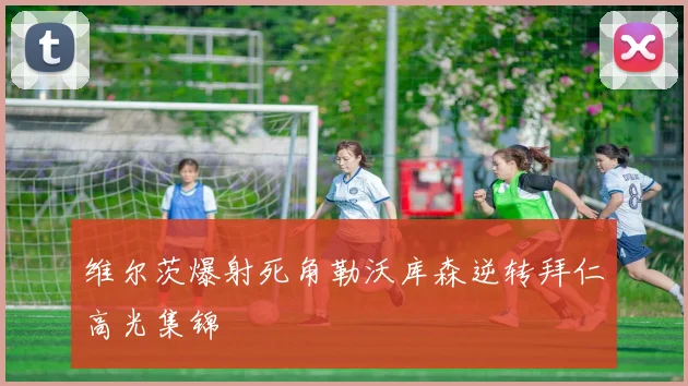 维尔茨爆射死角勒沃库森逆转拜仁高光集锦