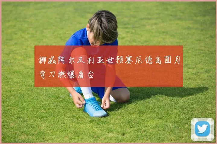挪威阿尔及利亚世预赛厄德高圆月弯刀燃爆看台