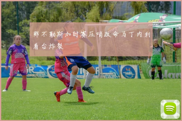 那不勒斯加时赛压哨改命马丁内利看台炸裂