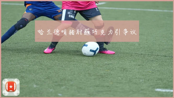 哈兰德啃猪肘蘸巧克力引争议