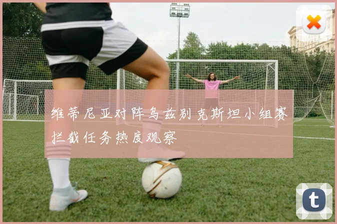 维蒂尼亚对阵乌兹别克斯坦小组赛拦截任务热度观察