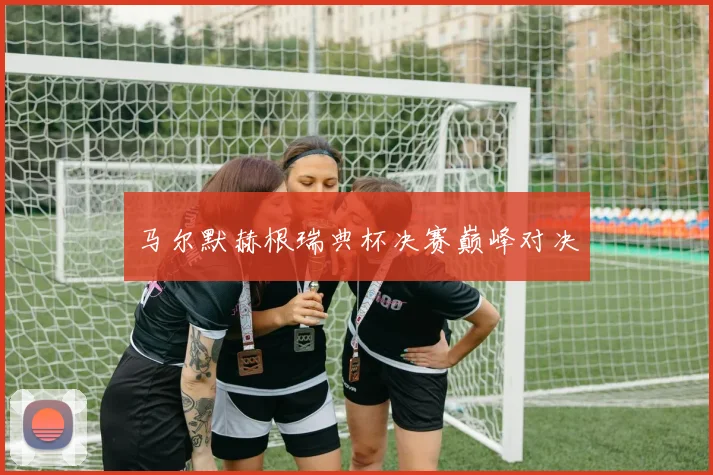 马尔默赫根瑞典杯决赛巅峰对决