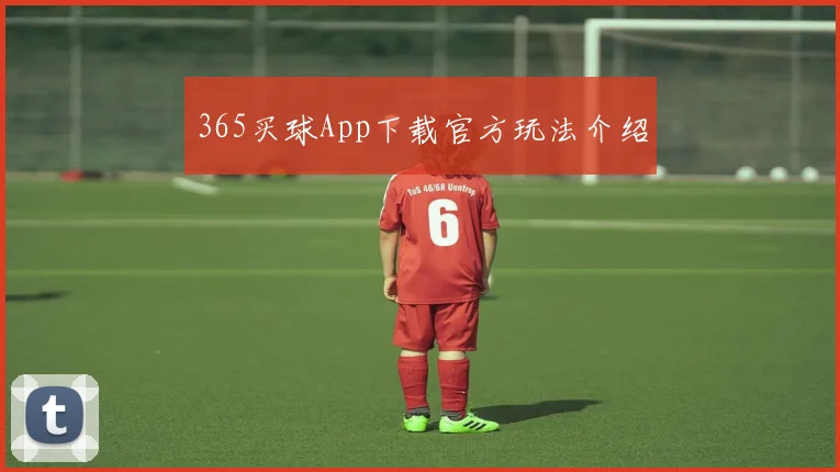 365买球App下载官方玩法介绍