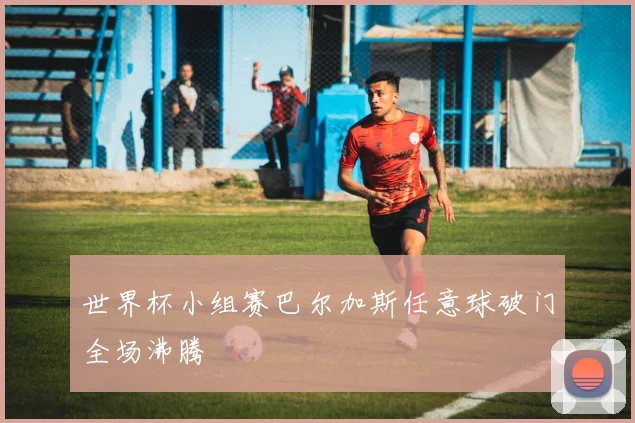 世界杯小组赛巴尔加斯任意球破门全场沸腾