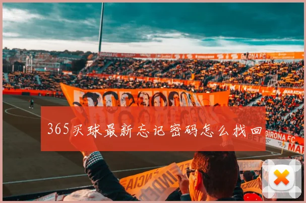 365买球最新忘记密码怎么找回