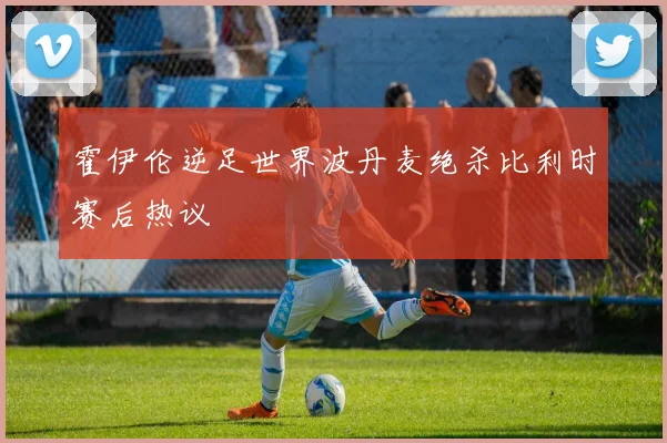 霍伊伦逆足世界波丹麦绝杀比利时赛后热议