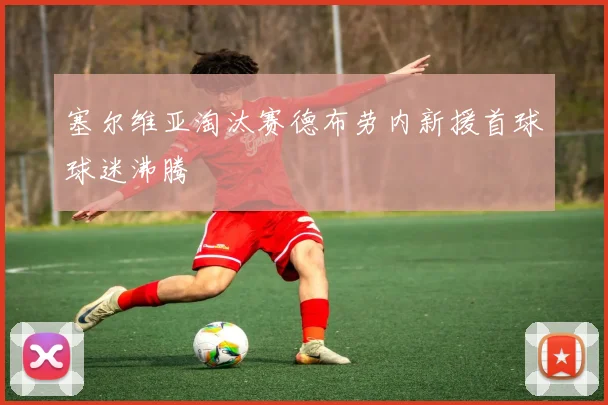 塞尔维亚淘汰赛德布劳内新援首球球迷沸腾
