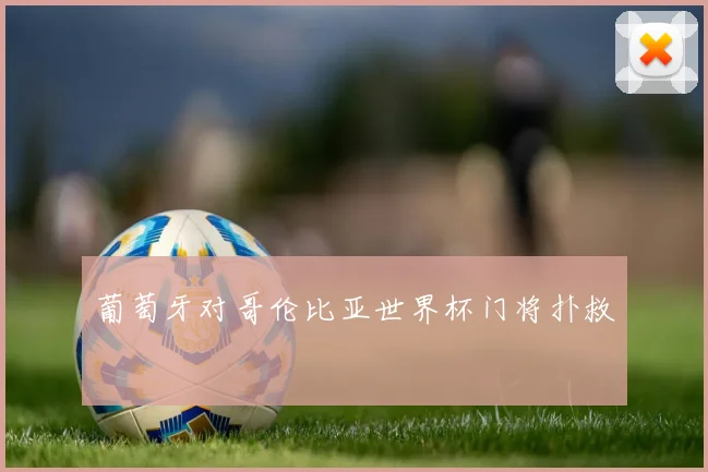 葡萄牙对哥伦比亚世界杯门将扑救