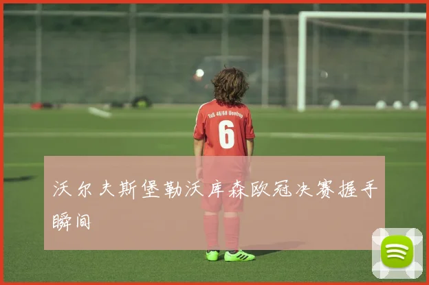 沃尔夫斯堡勒沃库森欧冠决赛握手瞬间